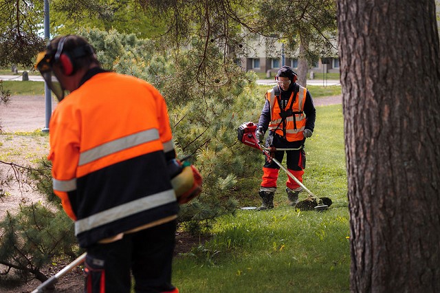 Kaksi henkilöä leikkaa nurmikkoa trimmereillä. Etummainen henkilö on selkä kameraan päin ja taaempana oleva henkilö on rintamasuunta kameraan päin.